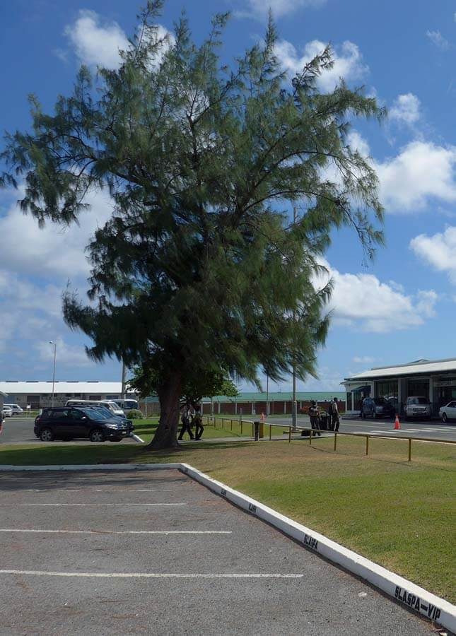 St Lucia – Hewanorra Intl airport